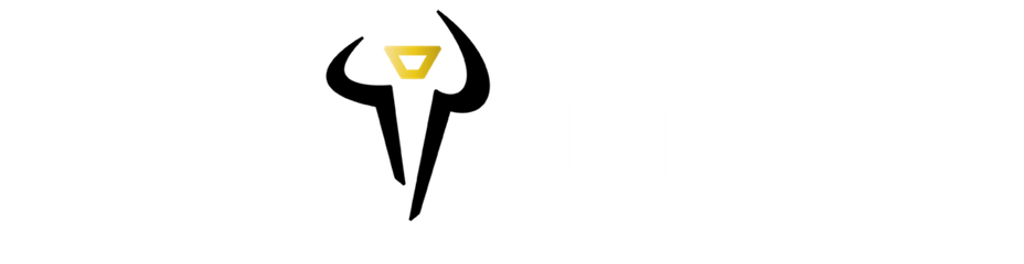 diiren logo wordmark